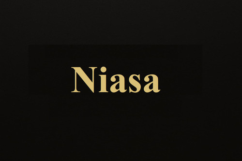 محصولات نیاسا (Niasa) سیستم صوتی خودرو