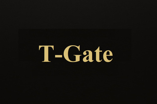 محصولات تی گیت(T-GATE) سیستم صوتی خودرو