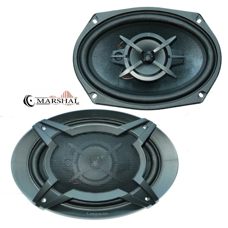 بلندگوی بیضی لیبرال Li-6939