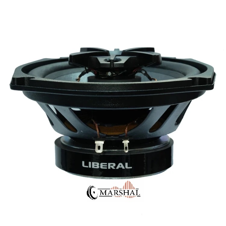خرید بلندگوی بیضی لیبرال Li-6939