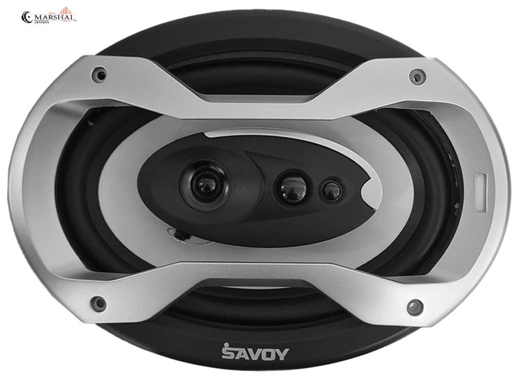 خرید و قیمت اسپیکر بیضی ساووی مدل SV-690X
