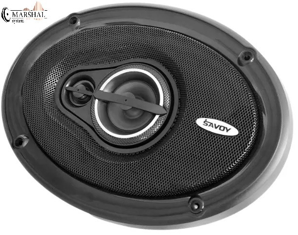 اسپیکر خودرو ساووی مدل SAVOY SV-699X