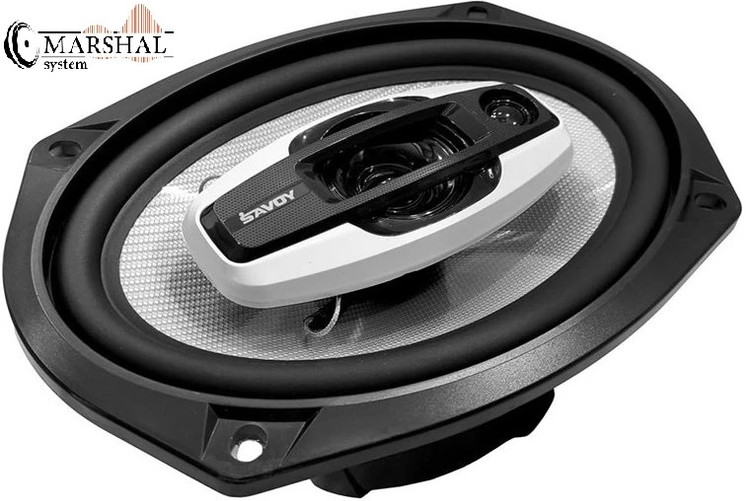 قیمت و خرید اسپیکر ساووی مدل SV-696X
