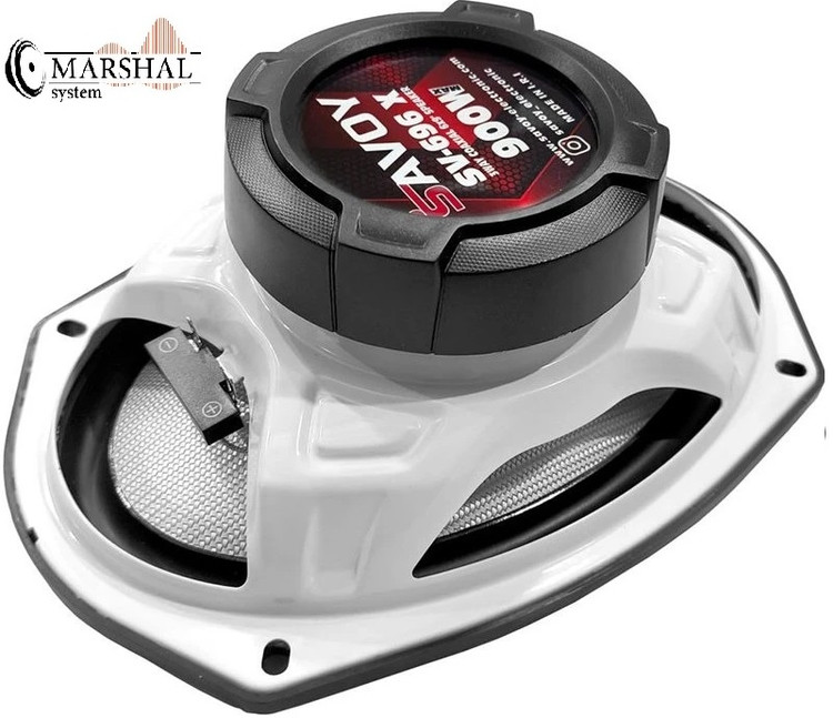 بلندگوی ساووی مدل SAVOY SV-696X با بهترین قیمت بازار