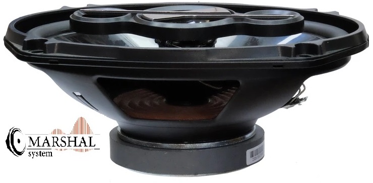 خرید و قیمت بلندگو بیضی مکسیدر مدل PL6911 بسته دو عددی