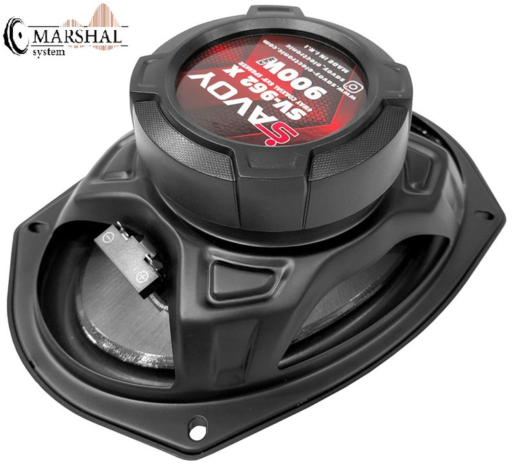 بلندگو بیضی ساووی