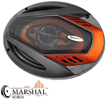 خرید و قیمت باند بیضی ساووی مدل SV-692X قدرت بسته دو عددی 900 وات