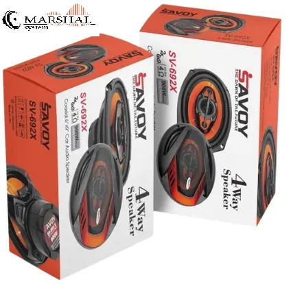 قیمت باند بیضی ساووی مدل SV-692X قدرت بسته دو عددی 900 وات