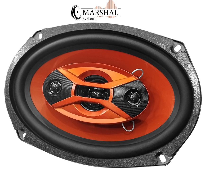 باند بیضی ساووی مدل SV698X ظرفیت ۹۰۰ وات بسته ۲ عددی