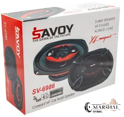 بلندگو بیضی