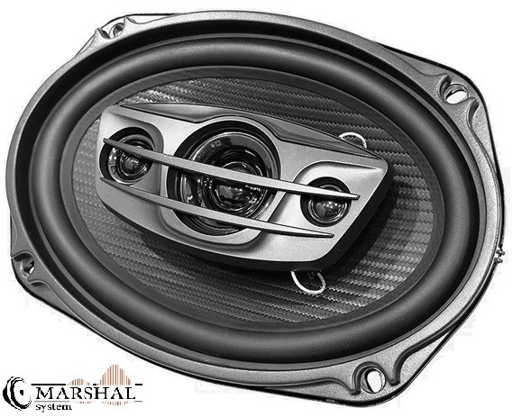 خرید و قیمت بلند بیضی ساووی