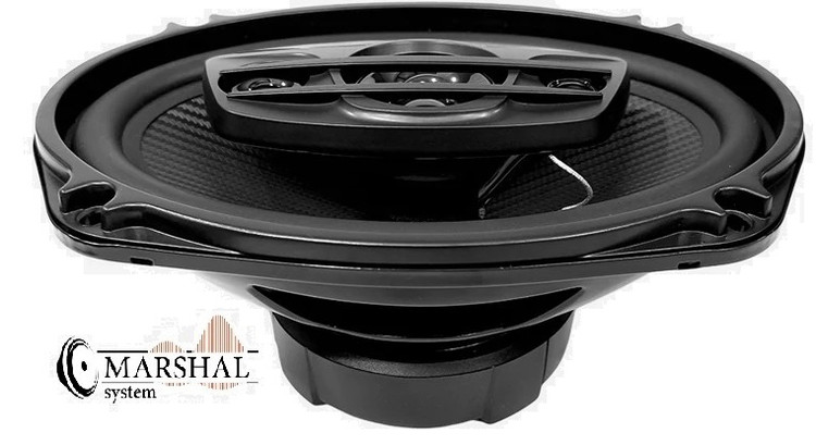 خرید و قیمت اسپیکر بیضی ساووی