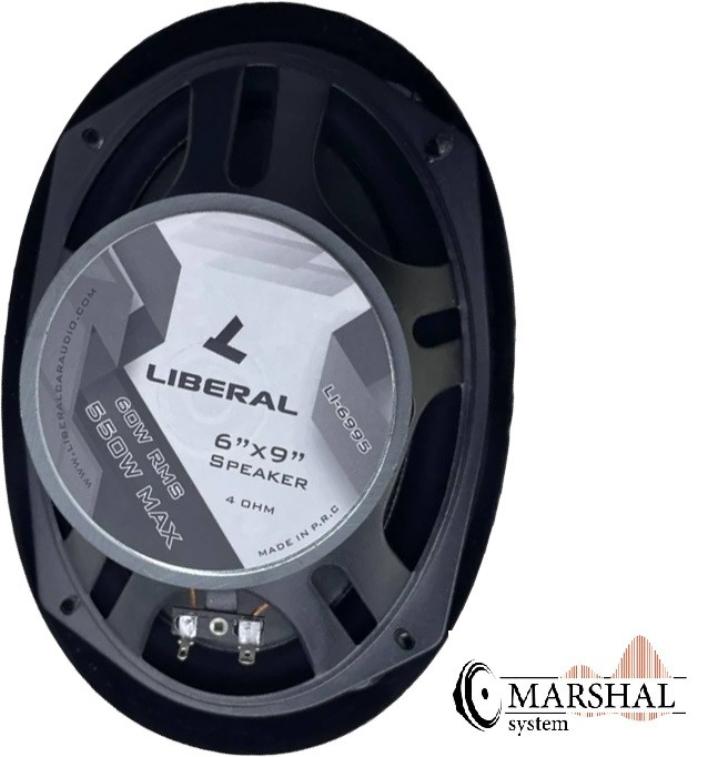 خرید و قیمت باند اسپیکر خودرو لیبرال Li-6995