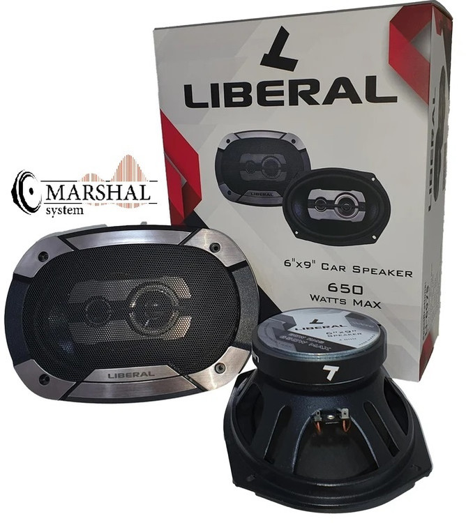 بلندگوی بیضی لیبرال Li-6975