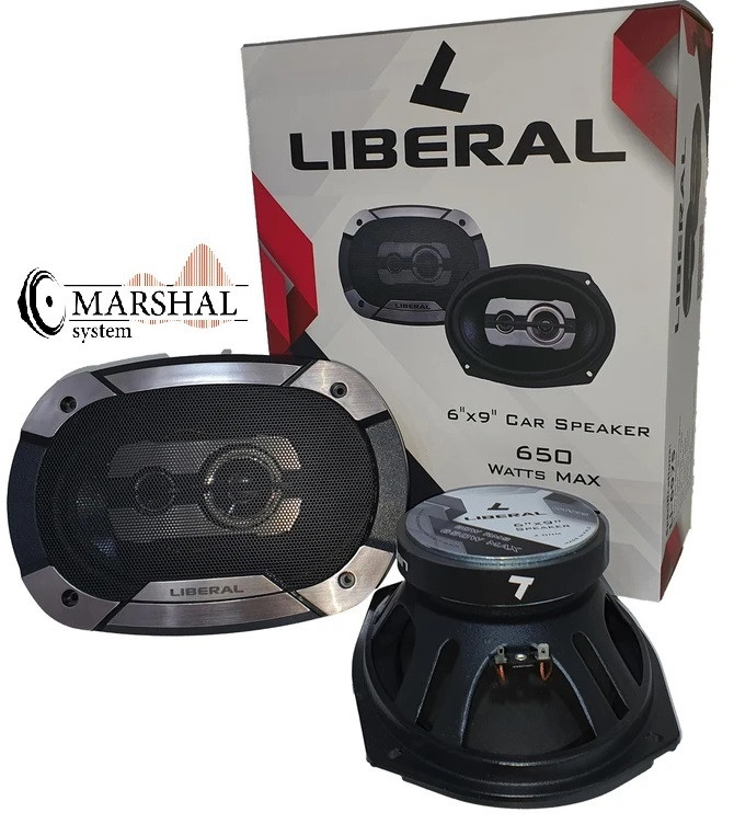 بلندگوی بیضی لیبرال Li-6975