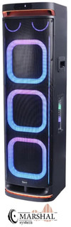 اسپیکر بلوتوثی وریتی مدل V-PS 3010