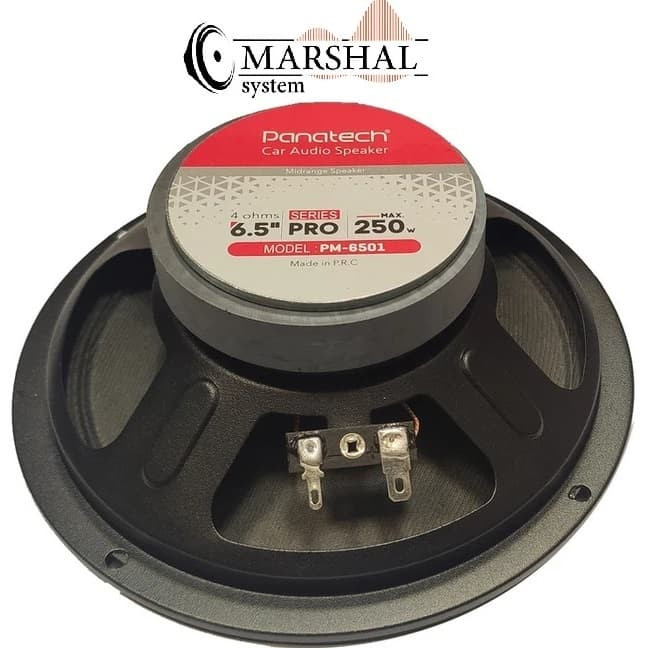 خرید میدرنج خودرو پاناتک مدل PM-6501 بسته ۲ عددی سایز ۶.۵ اینچ با ارزانترین قیمت