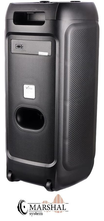 خرید اسپیکر چمدانی بلوتوثی رم و فلش خور Vaanmax Max-1015