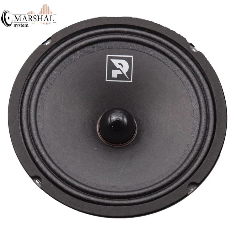 میدرنج خودرو آلفاسونیک مدل PSW-801 بسته دو عددی