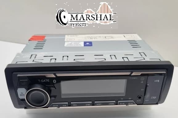 رادیوپخش تی گیت T-C3011