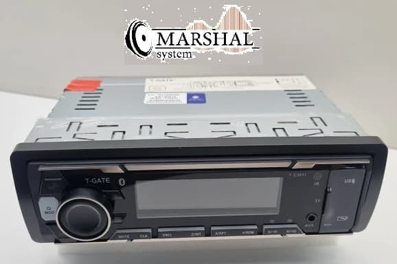 خرید رادیوپخش تی گیت از نمایندگی فروش با قیمت ارزان