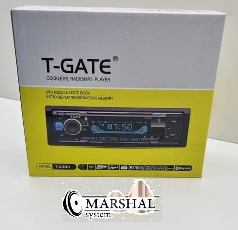 خرید آنلاین رادیوپخش تی گیت T-C3011
