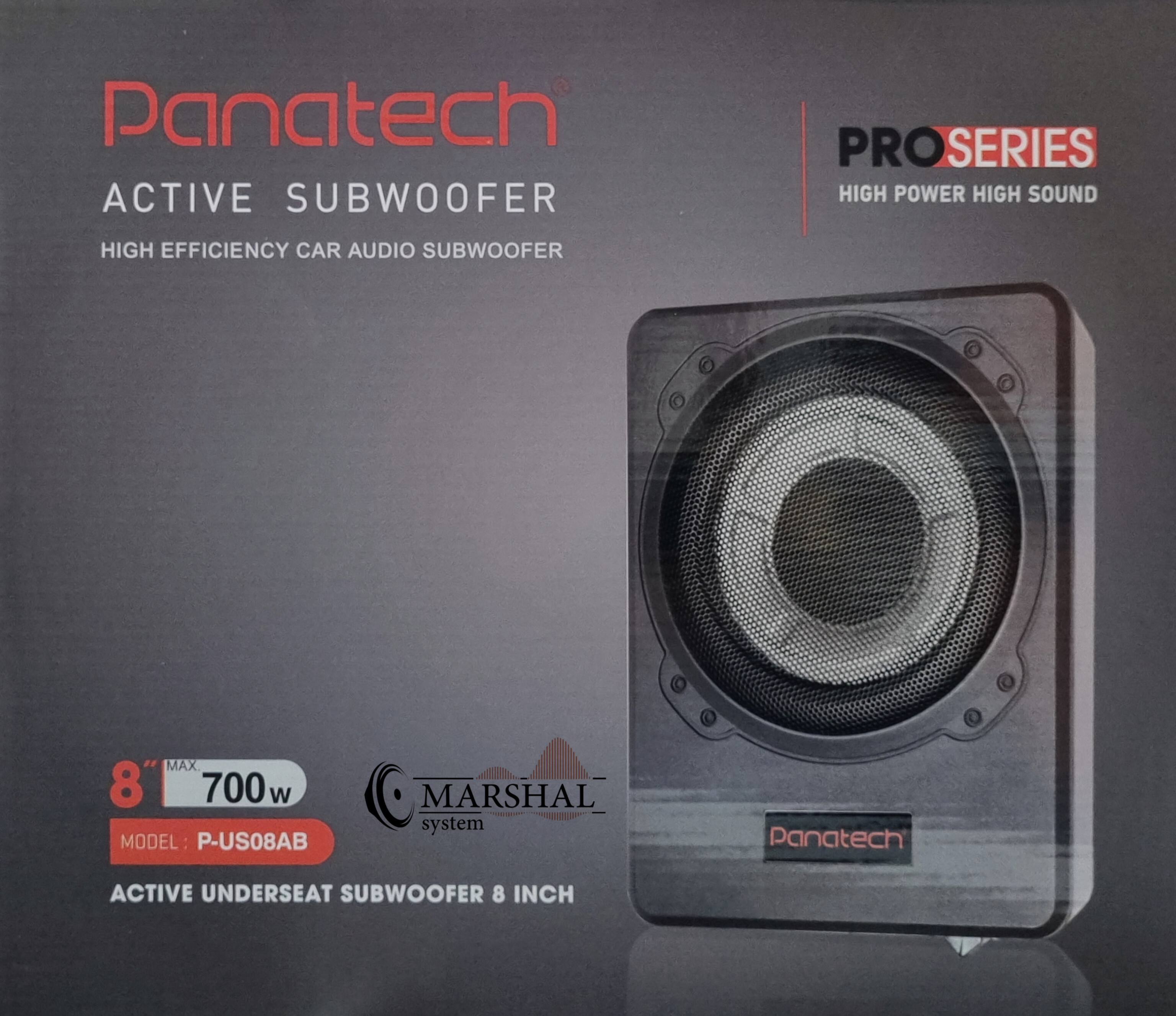 ساب اکتیو زیر صندلی 8 اینچ پاناتک مدل P-US08AB ارسال فوری