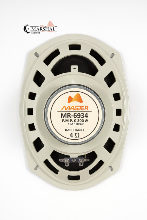 بلندگوی بیضی مستر مدل MR-6934 بسته ۲ عددی قیمت مناسب