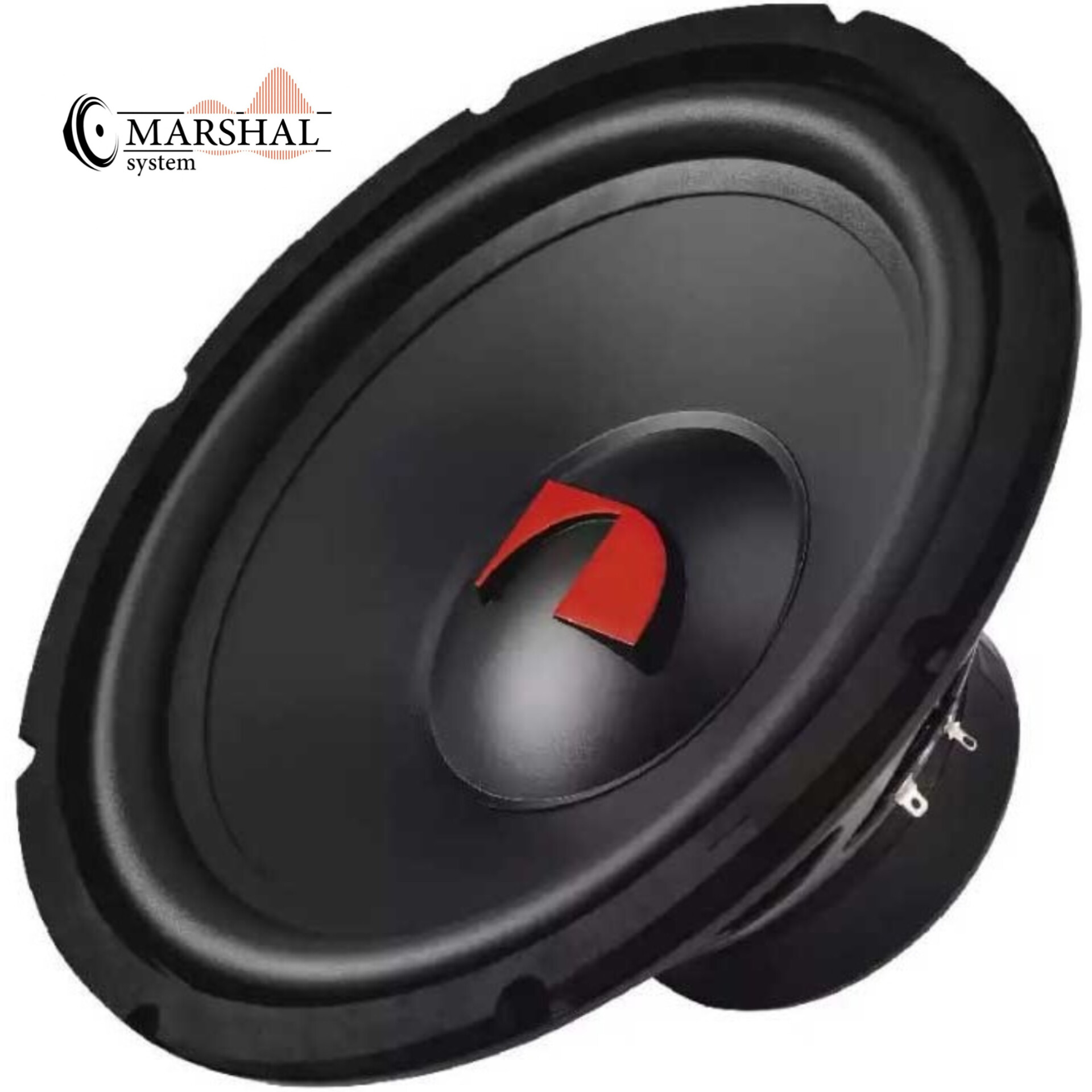 ساب ووفر۱۲ اینچی ناکامیچی مدل NSW-Z1203S4-II خرید با قیمت مناسب