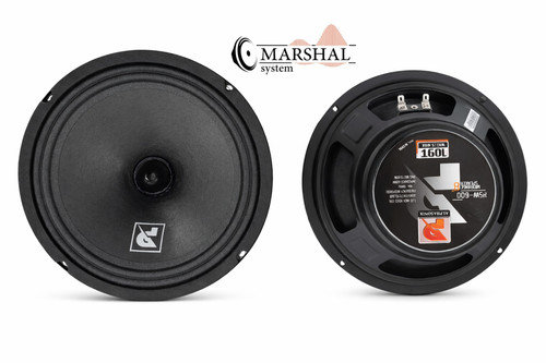 خرید و قیمت میدرنج 8 اینچ آلفاسونیک مدل PSW-800 بسته دو عددی