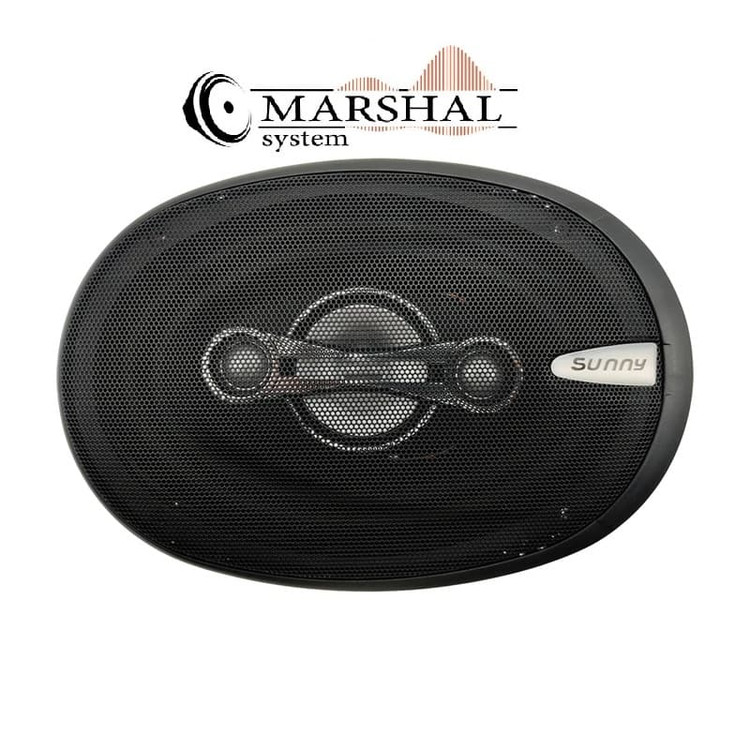 خرید و قیمت باند بیضی خودرو سانی SU-6988 بسته دو عددی