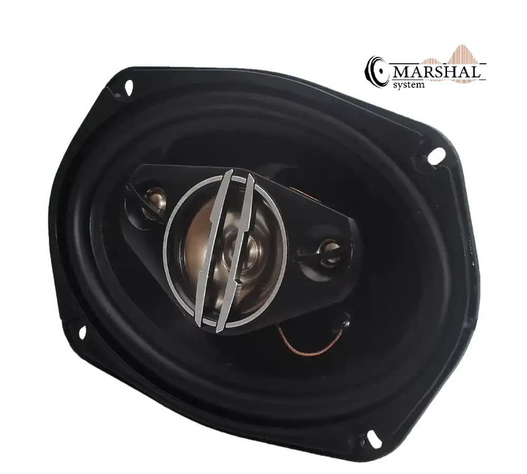 خرید و قیمت باند بیضی خودرو پاناتک مدل 6920 بسته 2 عددی