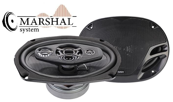 خرید و قیمت بلندگوی بیضی خودرو ساووی مدل SV-6940