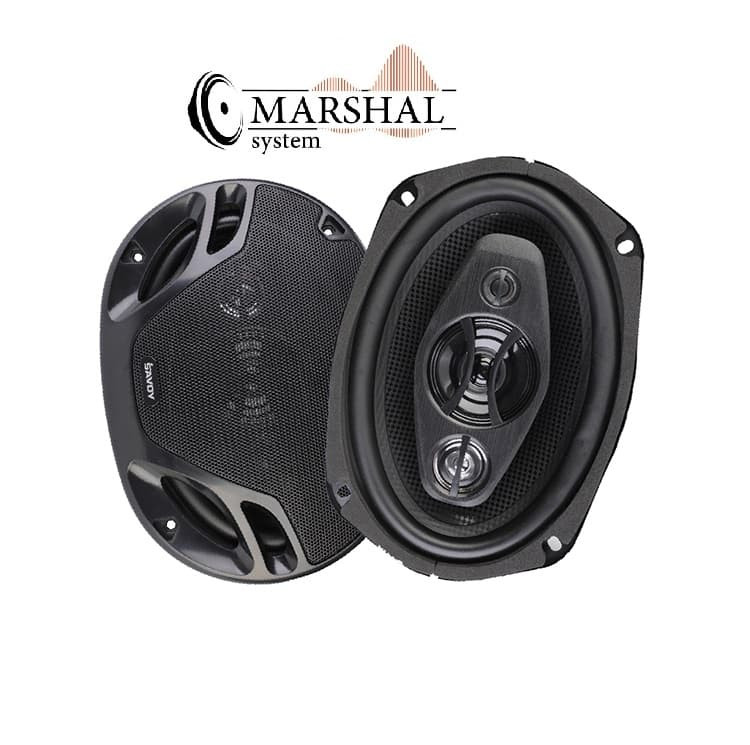 ovdn . rdlj بلندگوی بیضی خودرو ساووی مدل SV-6940