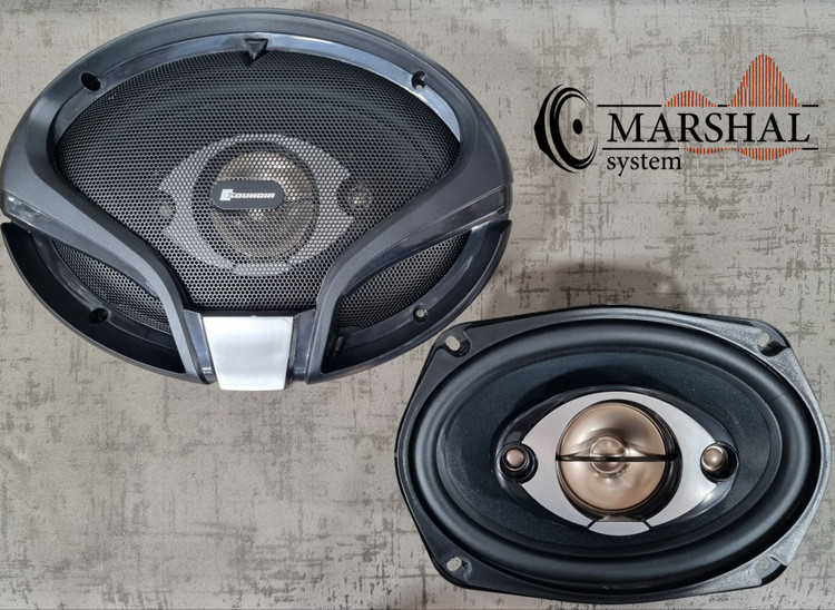 بلندگو بیضی ساندیا 120 واتی مدل SP-6903 بسته دو عددی
