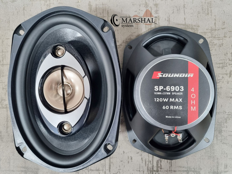 بلندگو بیضی ساندیا 120 واتی مدل SP-6903 بسته دو عددی