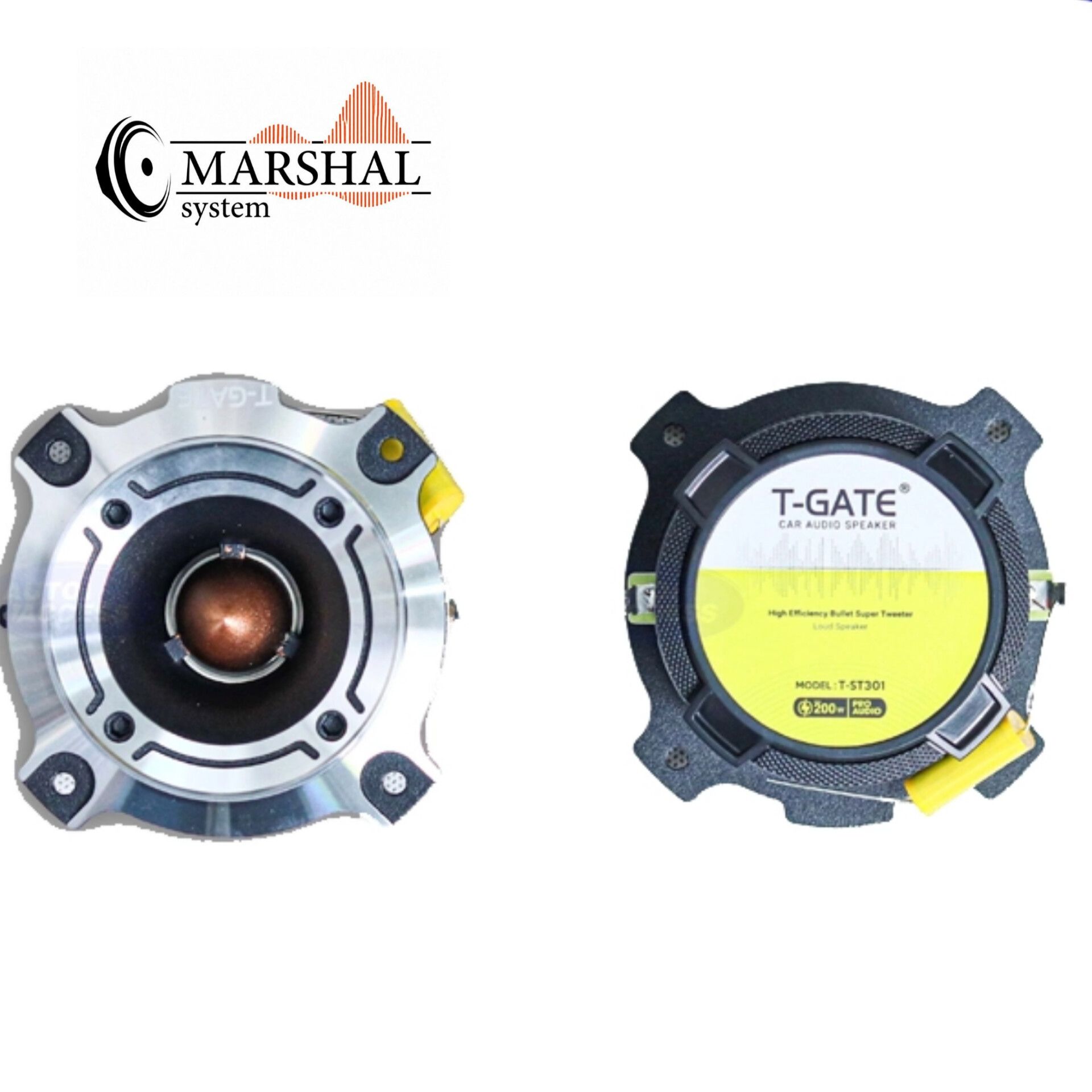 خرید انلاین سوپر تیوتر تی گیت مدل TGATE T-ST301بسته دو عددی
