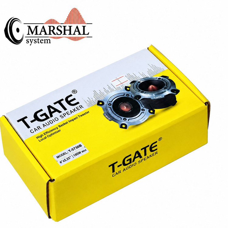 خرید و قیمت سوپر تیوتر تی گیت مدل TGATE T-ST301بسته دو عددی