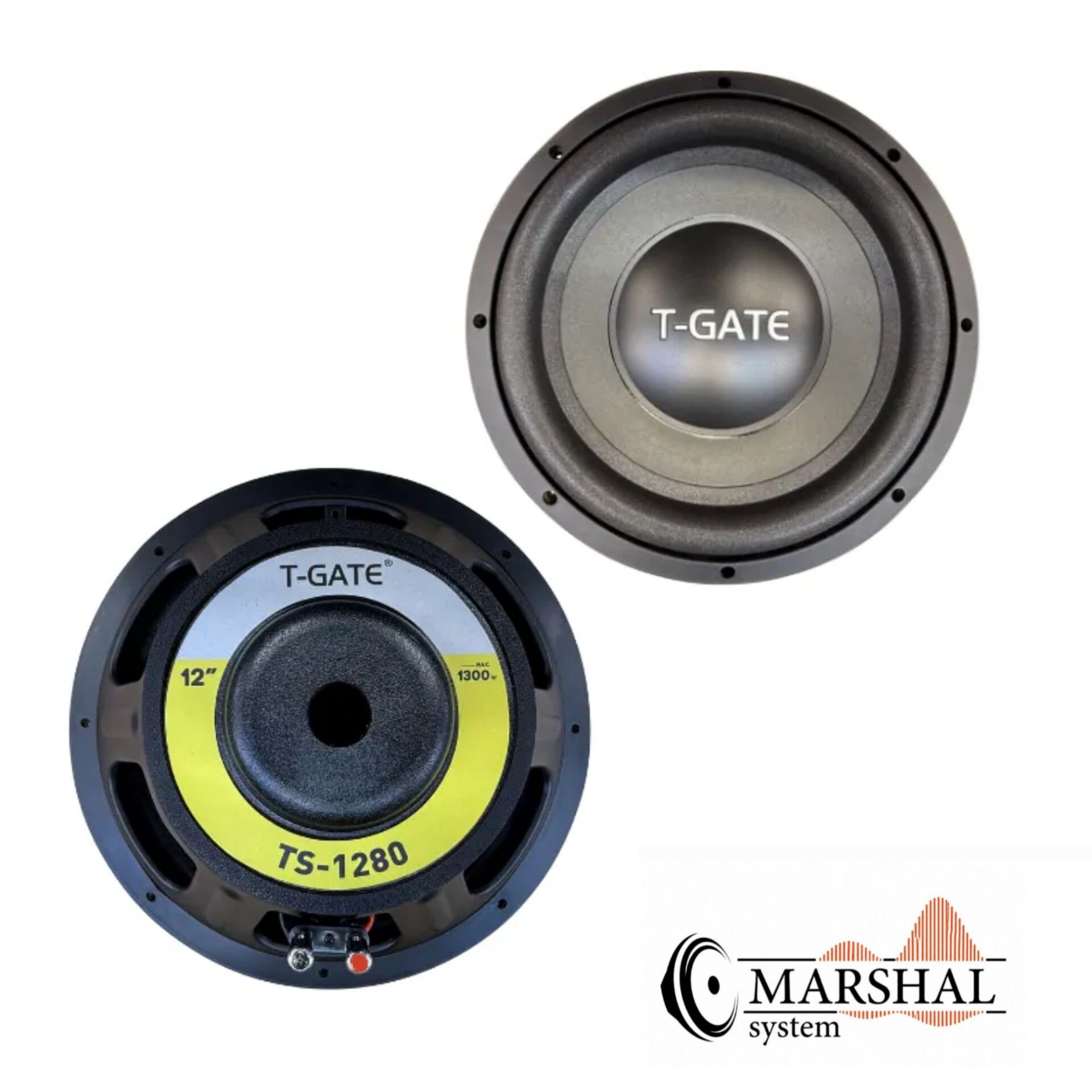 خرید ساب ووفر تی گیت مدل TGATE TS1280 با قیمت مناسب