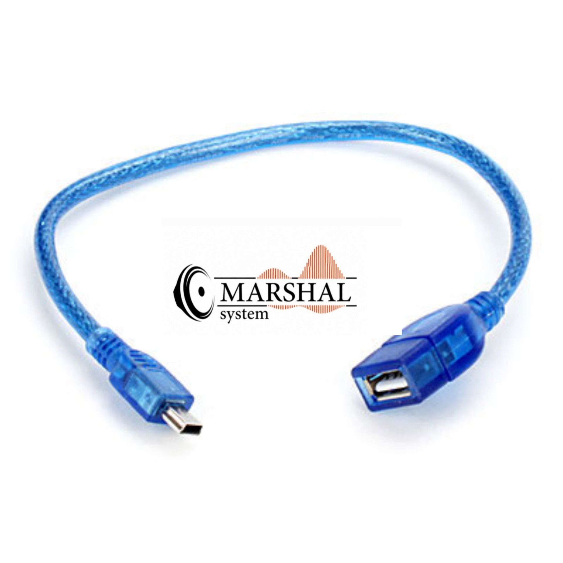خرید و قیمت کابل ذوزنقه ای مادگی Usb به Mini usb دتکس