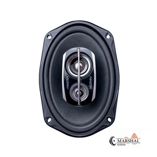بلندگوی خودرو ماستر مدل MR-6975-P1