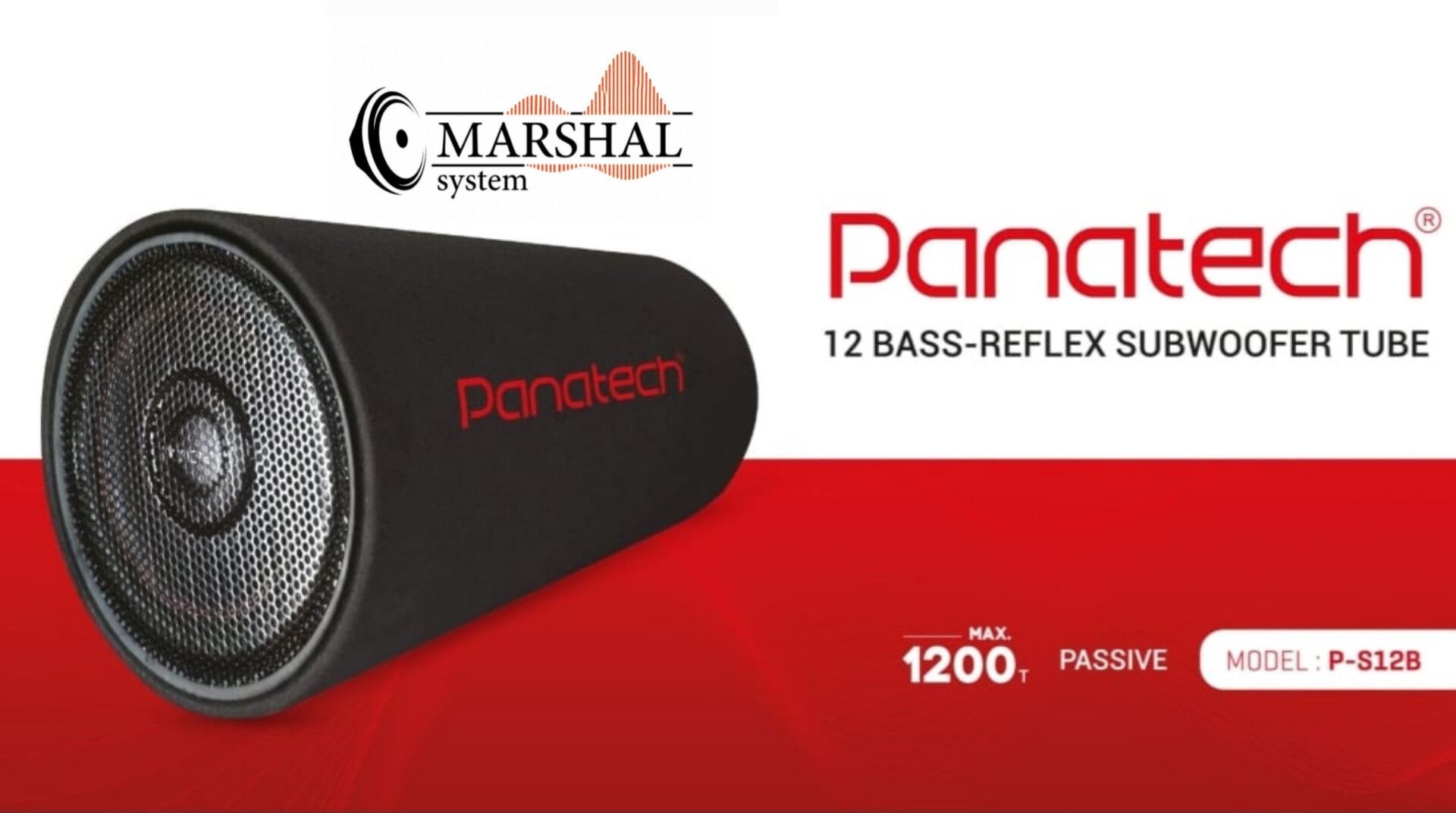 ساب باکس پاناتک panatech passive‏ (استوانه ای) p-s12b